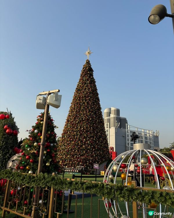 西九龍文化區打卡之旅📸