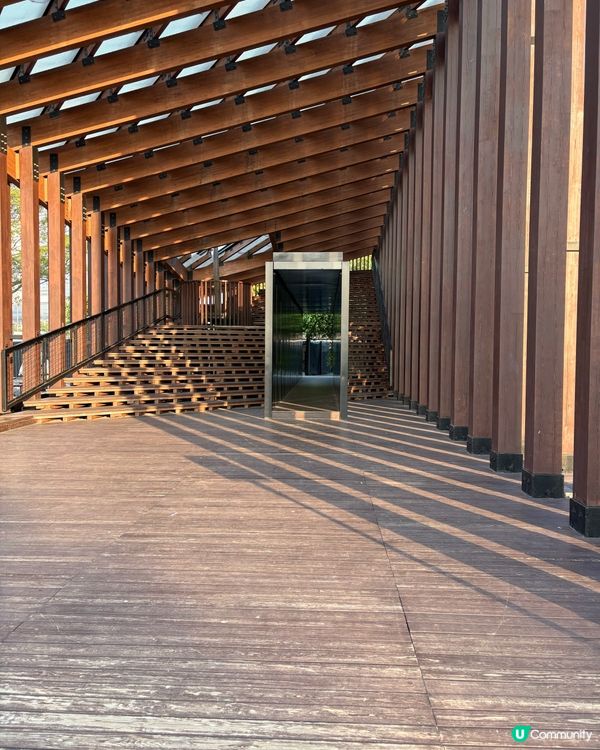 西九龍文化區打卡之旅📸