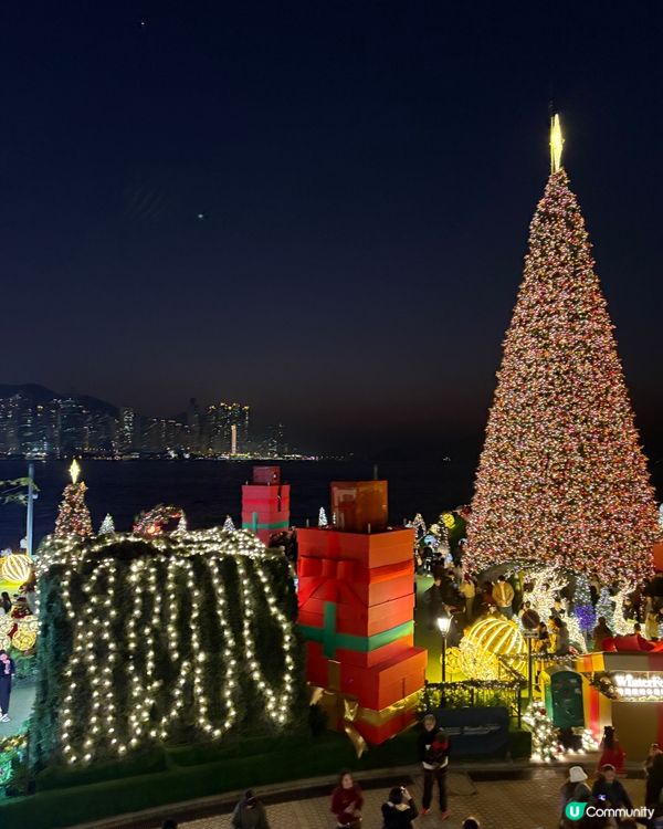 西九龍文化區打卡之旅📸