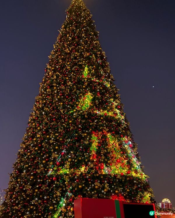 西九龍文化區打卡之旅📸