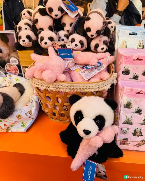 HELLO PANDAS 🐼 熊貓駕到戶外嘉年華