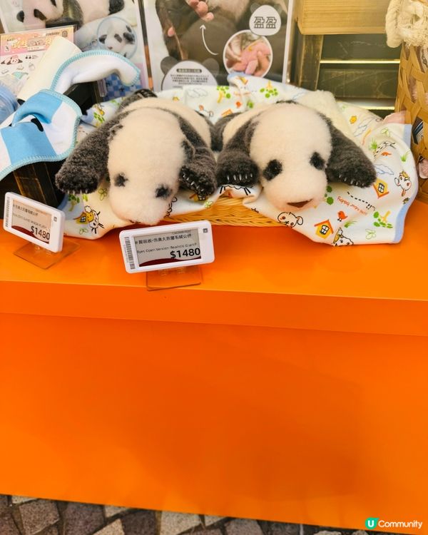 HELLO PANDAS 🐼 熊貓駕到戶外嘉年華