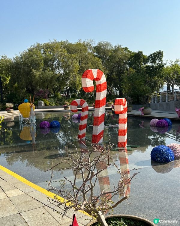 聖誕豪華鹿車🔮+Tiffany Blue聖誕樹🩵