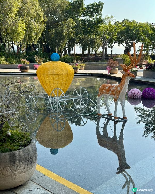 聖誕豪華鹿車🔮+Tiffany Blue聖誕樹🩵