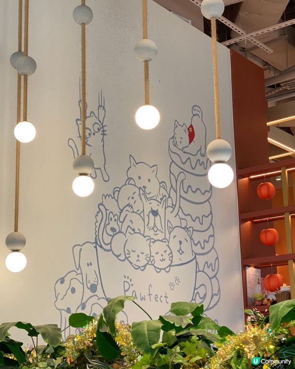 貓貓主題文青cafe @ 西營盤地鐵站出口