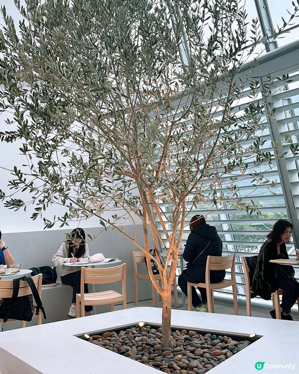 🎏Blue Bottle Coffee🎉開到東涌喇‼️