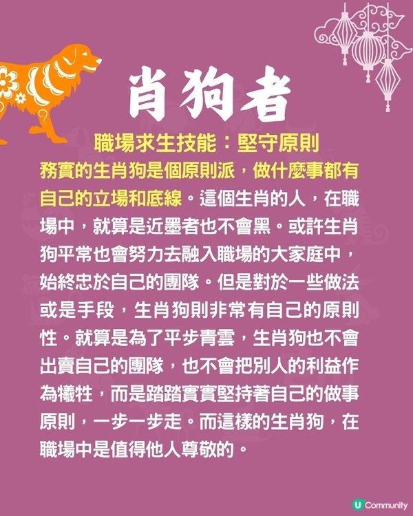 12生肖職場求生術指南🐍兩生肖最識扮無辜⁉️肖馬者懶理是非😮‍💨
