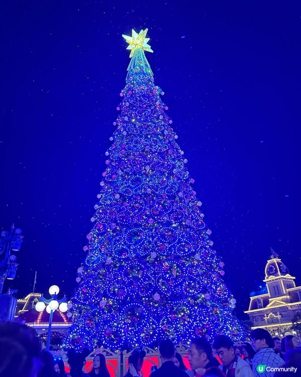 迪士尼18米高聖誕樹亮燈🎄+飄雪☃️