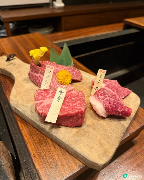 2024冬大阪奈良之旅