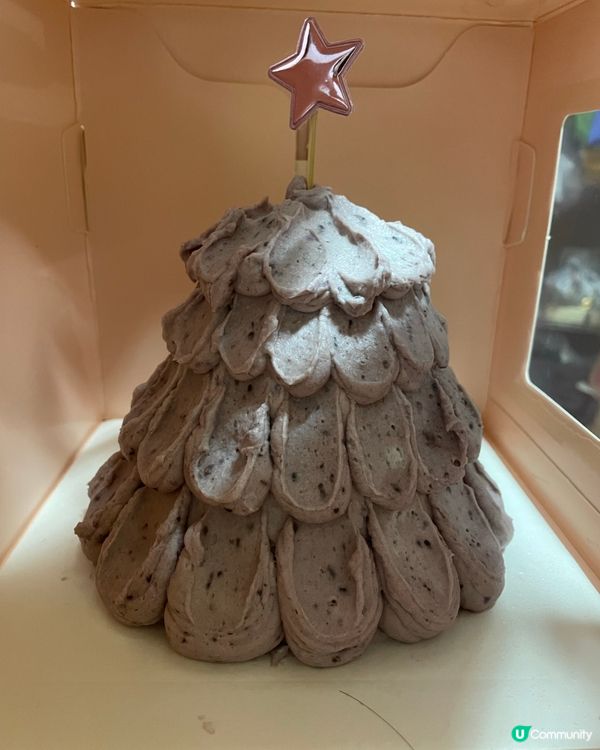 自家烘焙～紫薯芒果聖誕蛋糕