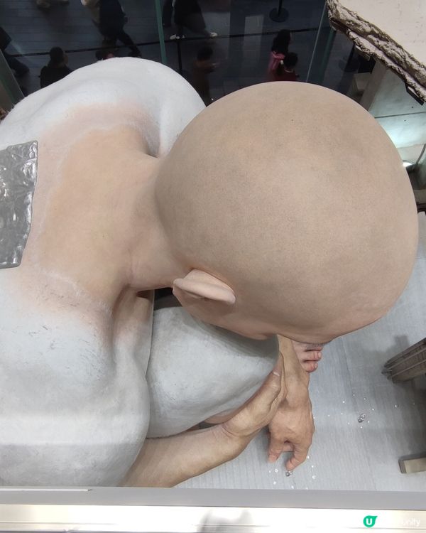 Haus Nowhere Shenzhen