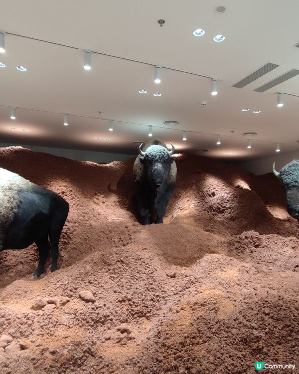 Haus Nowhere Shenzhen