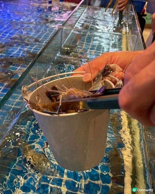 好味道😋泰金鍋