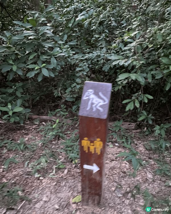 唔想咁辛苦，但又想做運動？