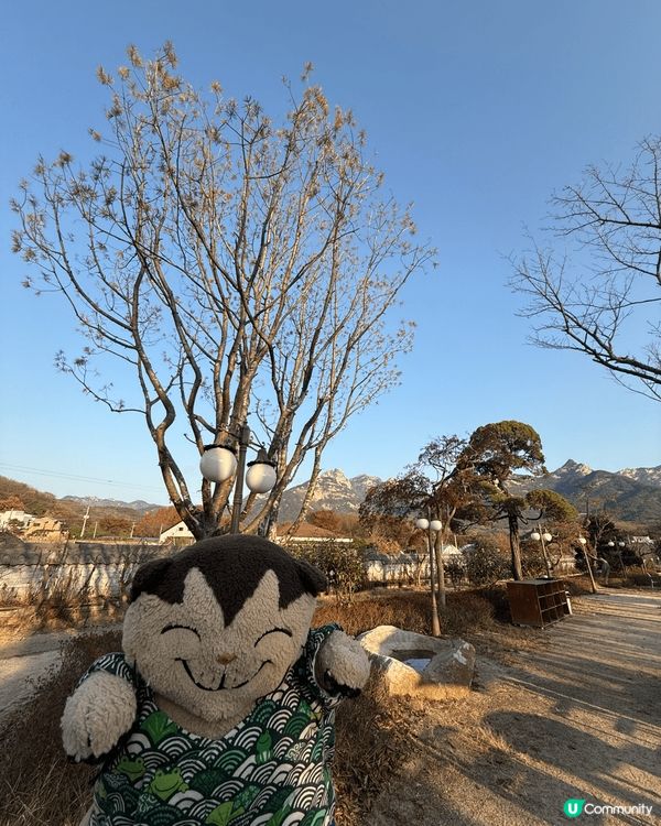 寒冬嘅南韓cafe ，一定會有聖誕氣氛嘅裝飾。貓仔都要去打卡...