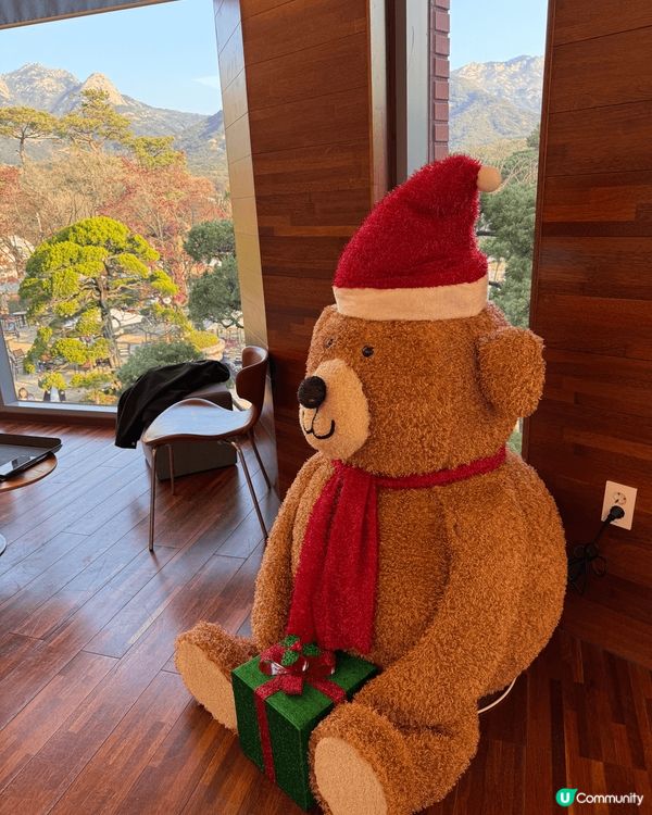 寒冬嘅南韓cafe ，一定會有聖誕氣氛嘅裝飾。貓仔都要去打卡...