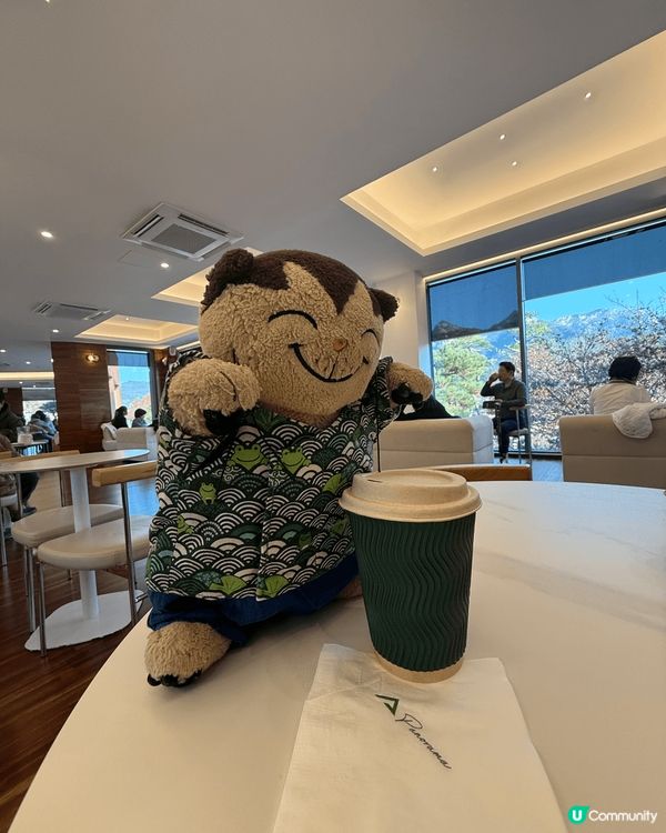 寒冬嘅南韓cafe ，一定會有聖誕氣氛嘅裝飾。貓仔都要去打卡...