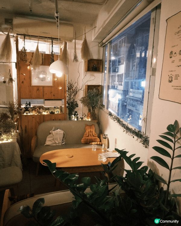 店舖：As Usual Cafe (中環)