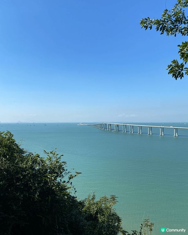 好多人都鍾意秋冬嘅時候去影芒草，最為人熟悉嘅就係大嶼山嘅大東...