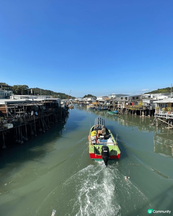 好多人都鍾意秋冬嘅時候去影芒草，最為人熟悉嘅就係大嶼山嘅大東...