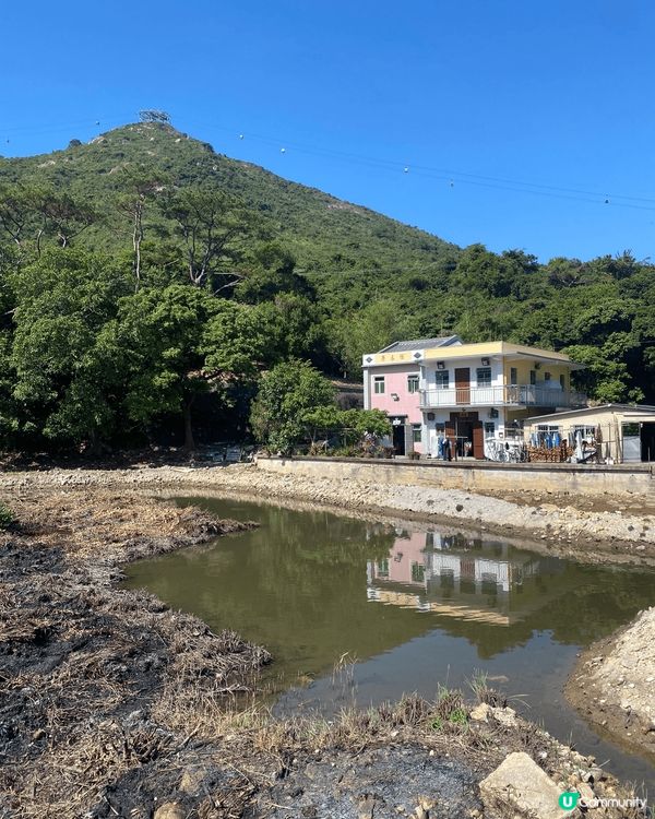 好多人都鍾意秋冬嘅時候去影芒草，最為人熟悉嘅就係大嶼山嘅大東...