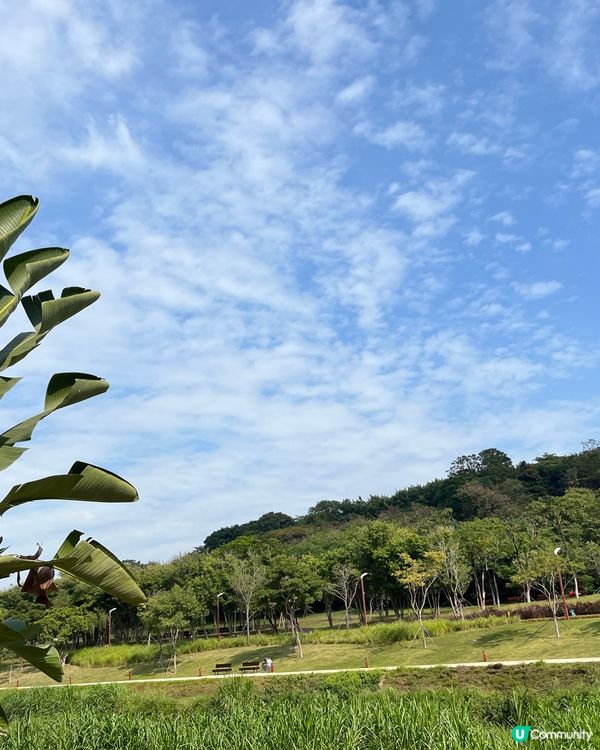 放空好地方⋯⋯大沙河公園