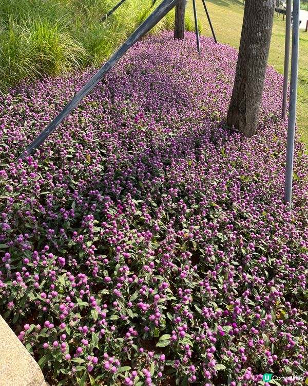 放空好地方⋯⋯大沙河公園