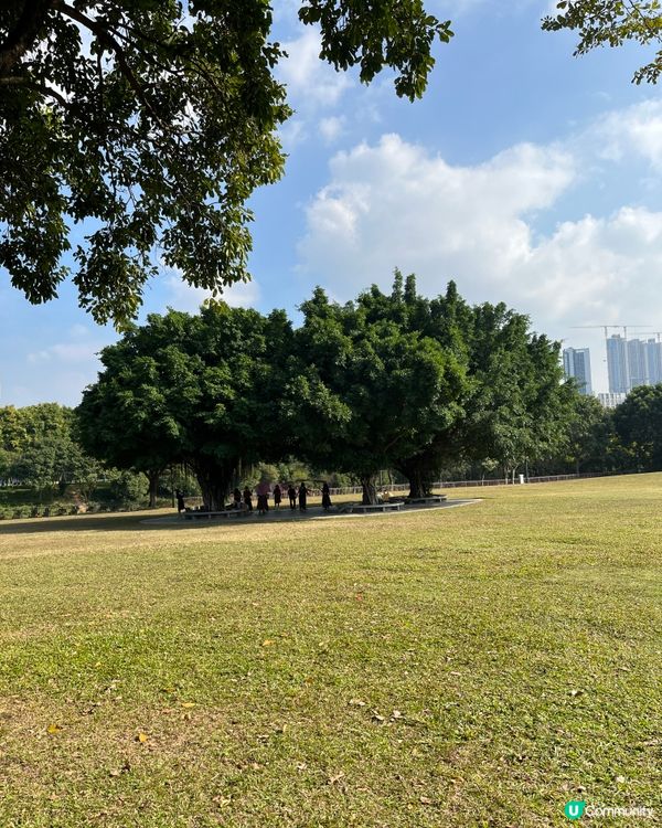 放空好地方⋯⋯大沙河公園