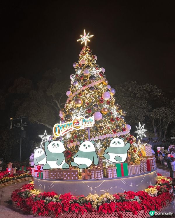 聖誕好去處，記得去同熊貓過一個熱辣辣嘅聖誕節