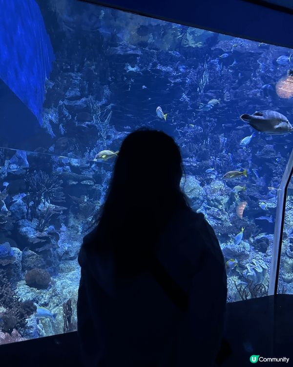 影低美好一刻，記錄當時  #拍下珍貴時刻
