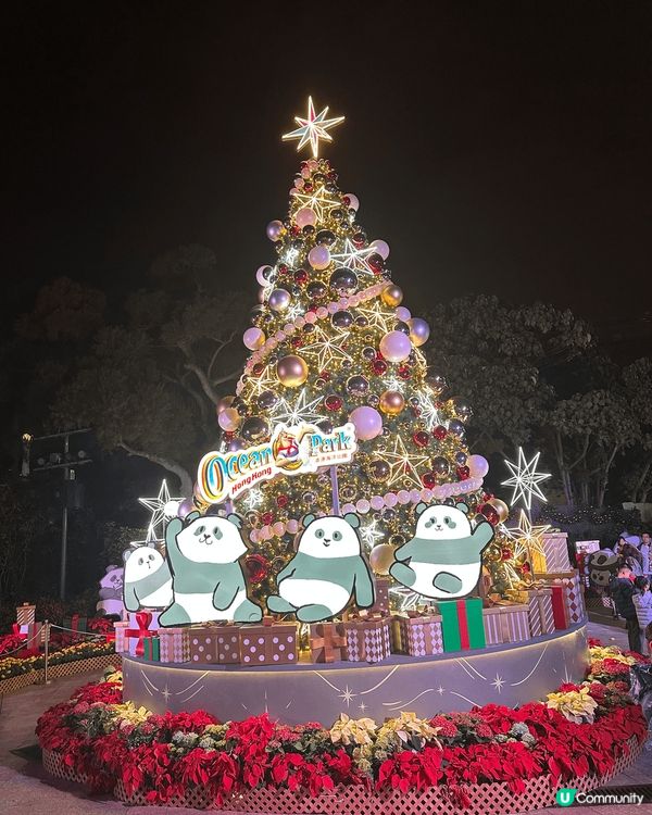 影低美好一刻，記錄當時  #拍下珍貴時刻
