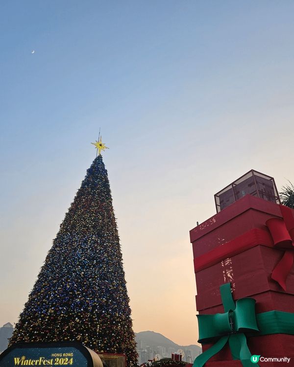 相片中係"西九巨型聖誕樹"第一幅係接近黃昏既聖誕樹，而第二同...