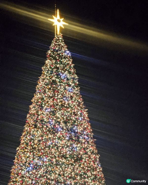 相片中係"西九巨型聖誕樹"第一幅係接近黃昏既聖誕樹，而第二同...