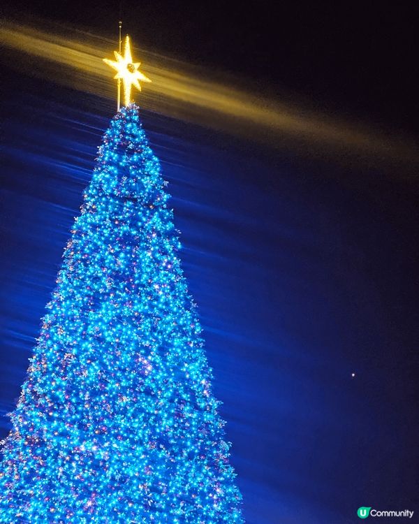 相片中係"西九巨型聖誕樹"第一幅係接近黃昏既聖誕樹，而第二同...