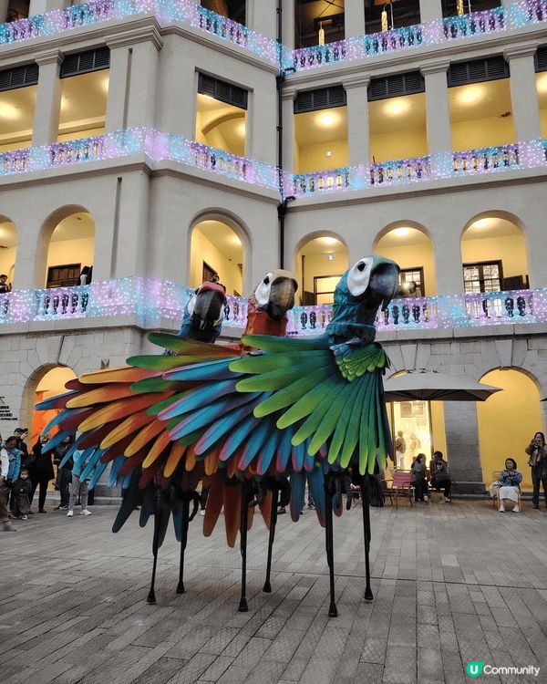 玩轉大館馬戲季 @taikwun.hk  我?超級推薦?? ...