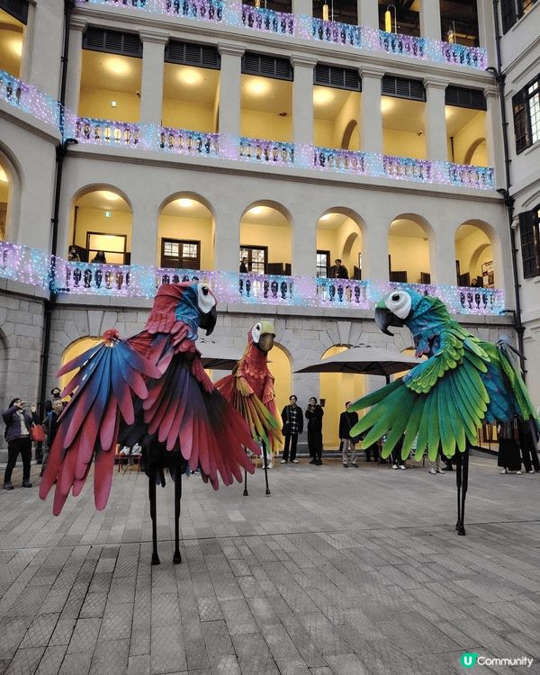 玩轉大館馬戲季 @taikwun.hk  我?超級推薦?? ...