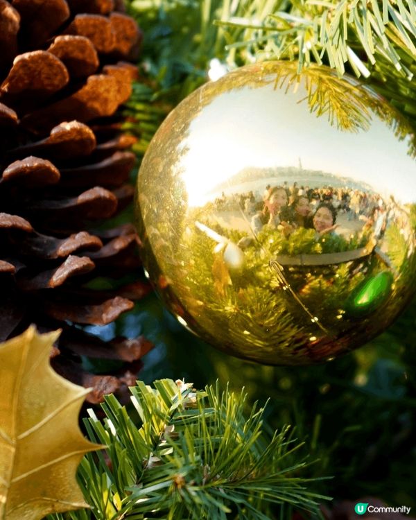 聖誕節係好多人最鐘意?節日，因為氣氛好、又浪漫，同埋天氣涼涼...