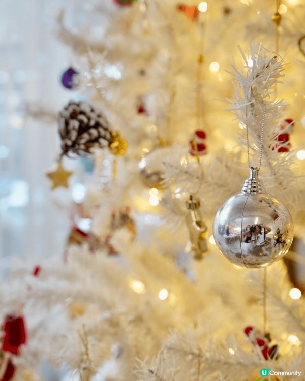 聖誕節係好多人最鐘意?節日，因為氣氛好、又浪漫，同埋天氣涼涼...