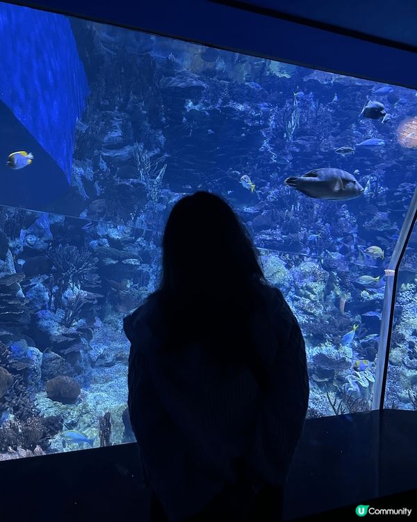 用GHD整返個靚頭，去同熊貓打卡影相