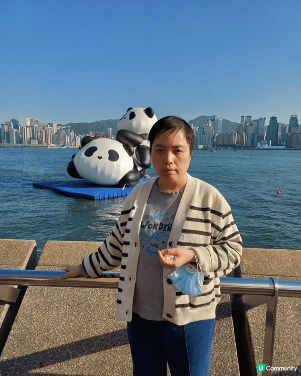 我和家人一起去聖誕節海旁看聖誕燈飾和去尖沙咀海旁看態貓。