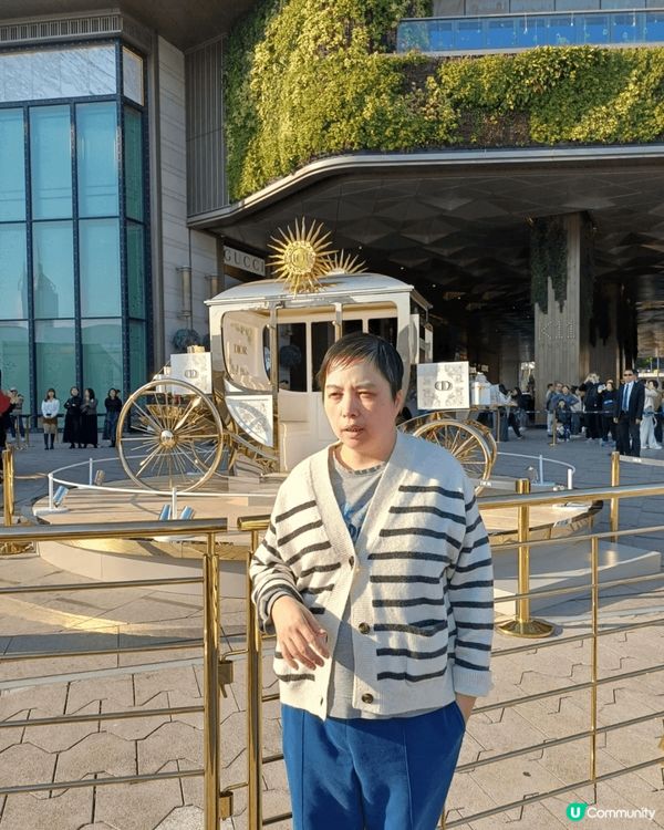 我和家人一起去聖誕節海旁看聖誕燈飾和去尖沙咀海旁看態貓。