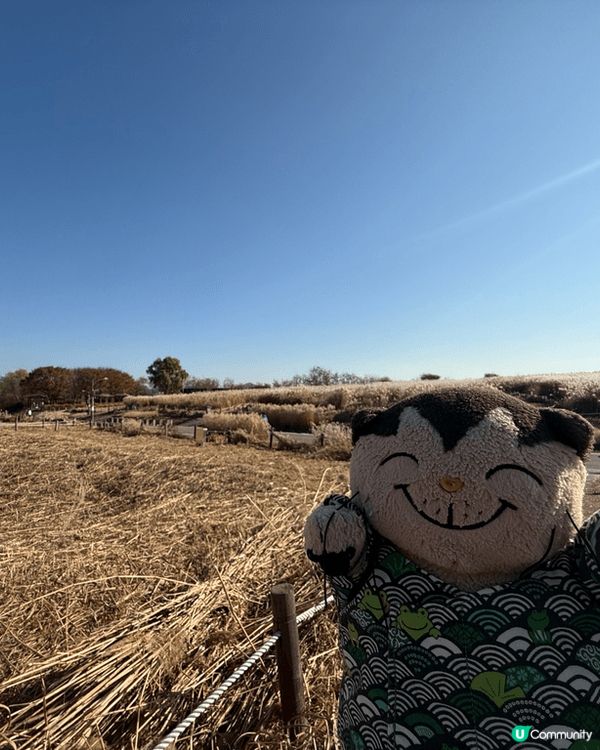 帶住積及貓去旅行之南韓藍天公園。遊覽當日天公作美藍天白雲！