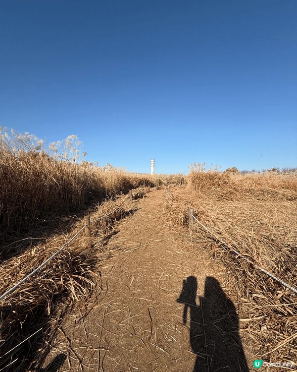 帶住積及貓去旅行之南韓藍天公園。遊覽當日天公作美藍天白雲！