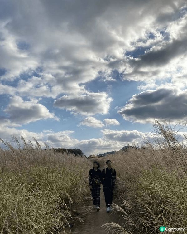 去韓國，天氣好， 藍天白雲， 看到銀杏，穿韓服，化韓妝， 渡...
