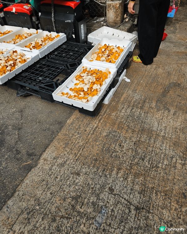 油麻地果欄，在天橋上拍照，美麗的天空，歷史的排劏鐵皮屋頂，新...