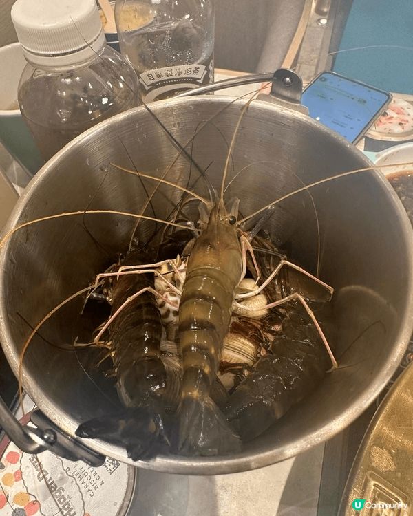 近期最紅打邊爐放題熱點~ 一定係呢間店舖，因為勁多新鮮海產可...