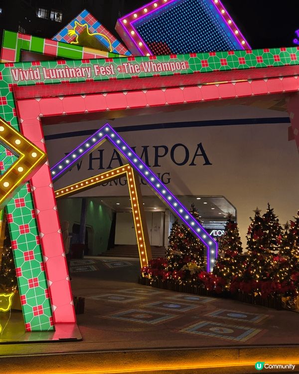 Vivid Luminary Fest 聖誕佈置內萌貓的總數...