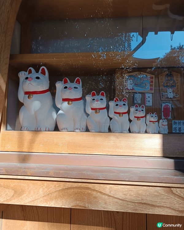日本豪德寺，環境清優，仲有好多招財貓，有大有細，絕對是打卡好...