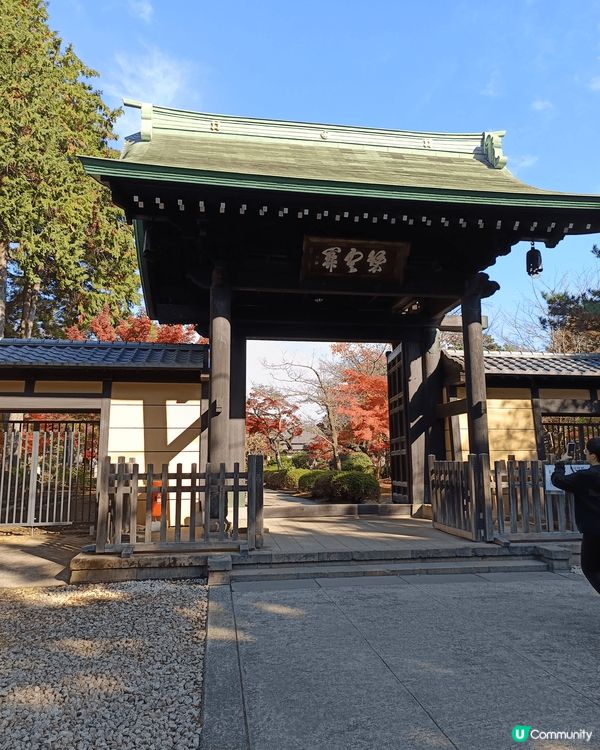 日本豪德寺，環境清優，仲有好多招財貓，有大有細，絕對是打卡好...