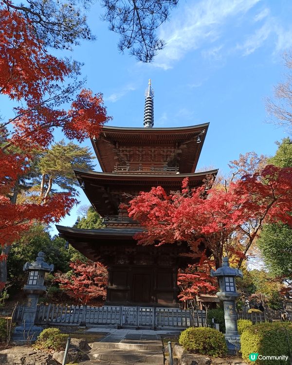 日本豪德寺，環境清優，仲有好多招財貓，有大有細，絕對是打卡好...